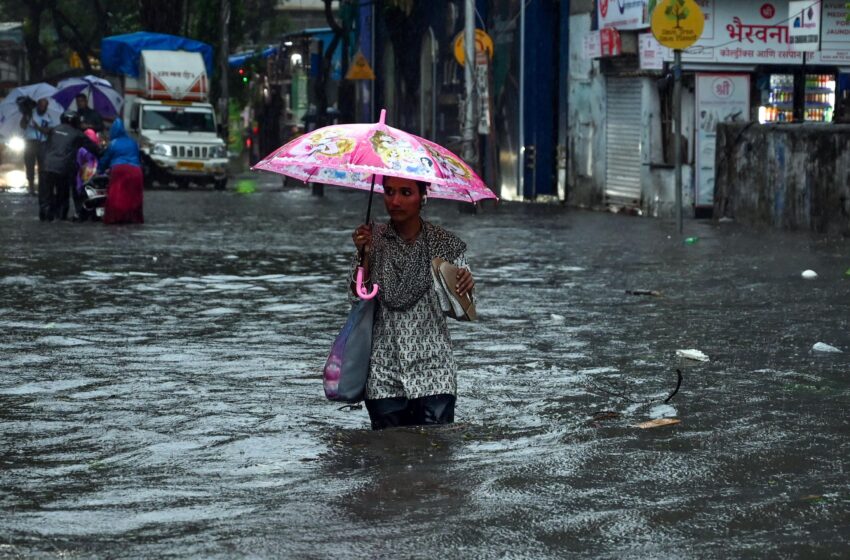  बारिश खुशी नहीं कुछ गम भी